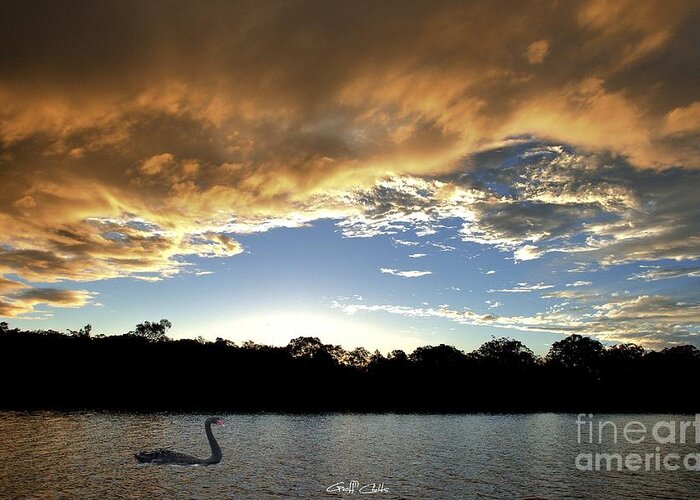 Sunrise Greeting Card featuring the photograph Rathmines Sunset with Swan. Original exclusive photo art. by Geoff Childs