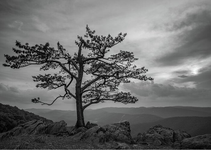 Va Mountains Greeting Card featuring the photograph Raven's Roost by Doug Ash