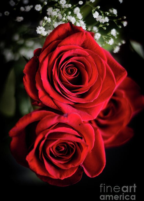 Cheryl Baxter Photography Greeting Card featuring the photograph Red Roses by Cheryl Baxter
