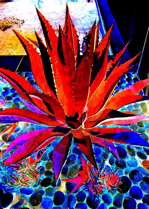 Red Agave Greeting Card featuring the photograph Red Agave by Randall Weidner