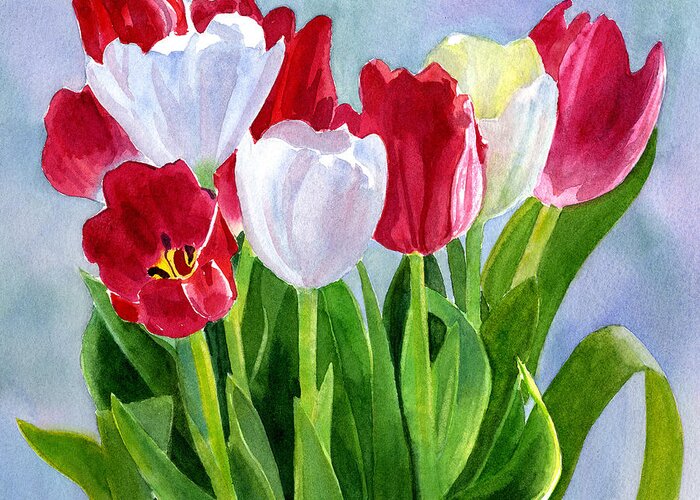 Red. White Greeting Card featuring the painting Red and White Tulip Bouquet by Sharon Freeman