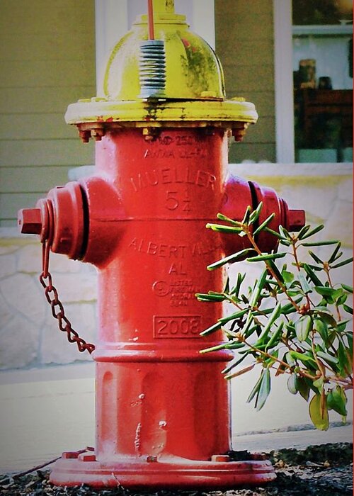 Colors Greeting Card featuring the photograph Red and Yellow Hydrant by Caroline Stella