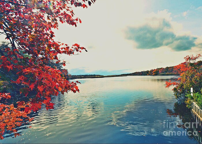 Featured Greeting Card featuring the photograph Wertheim Red Autumn Lake by Stacie Siemsen