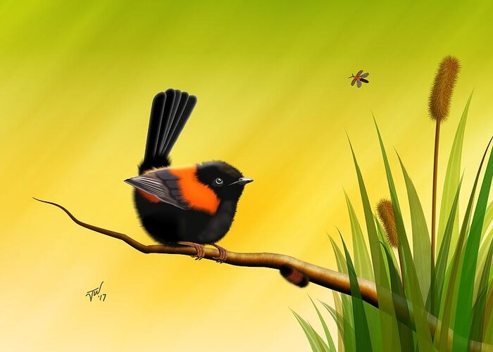 Red Back Fairy Wren Greeting Card featuring the digital art Red Backed Fairy Wren by John Wills