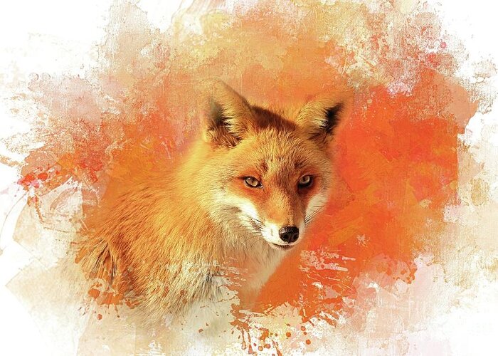 Red Fox Greeting Card featuring the photograph Red Fox by Eva Lechner