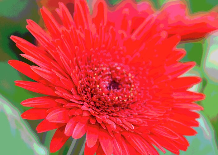 Photograph Greeting Card featuring the photograph Red Gerbera Posterized by Suzanne Gaff