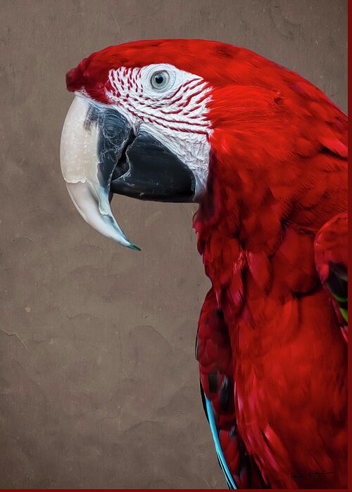 Bird Greeting Card featuring the photograph Red Macaw by Mark Myhaver
