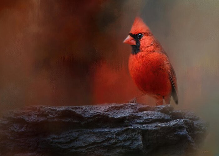 Jai Johnson Greeting Card featuring the photograph Red On The Rocks - Cardinal Bird Art by Jai Johnson