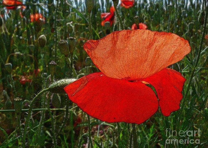 Art Greeting Card featuring the photograph Red Poppy Flower 6 by Jean Bernard Roussilhe