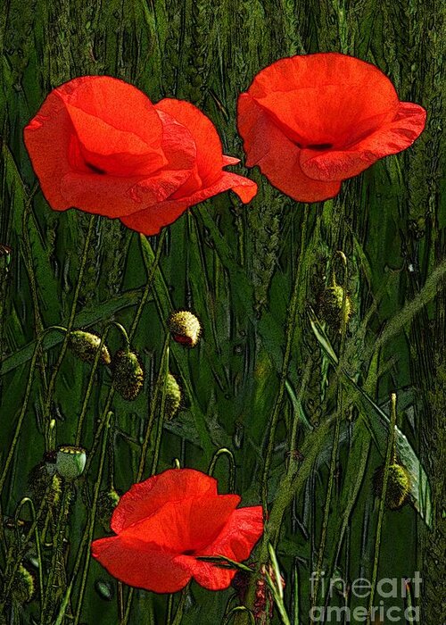 Art Greeting Card featuring the photograph Red Poppy Flowers In Grassland 3 by Jean Bernard Roussilhe