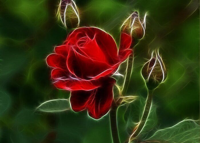 Red Rose Greeting Card featuring the photograph Red Rose and Buds by Sandy Keeton