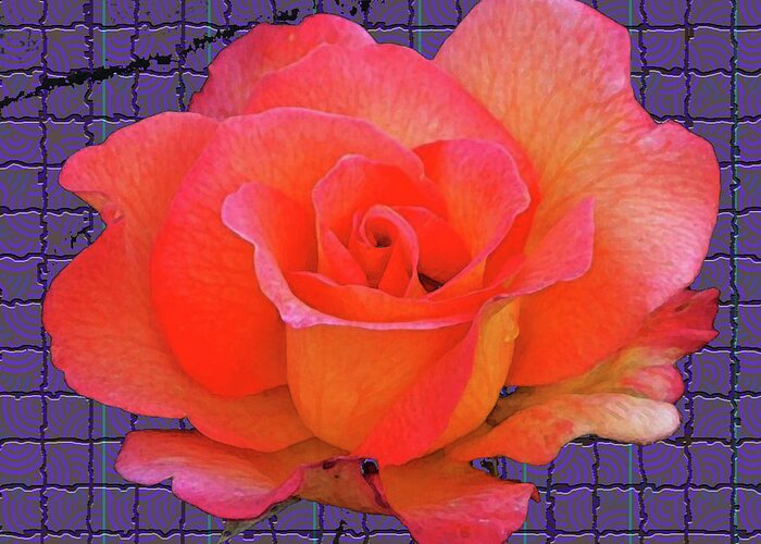 Flower Greeting Card featuring the digital art Red Rose by Rod Whyte
