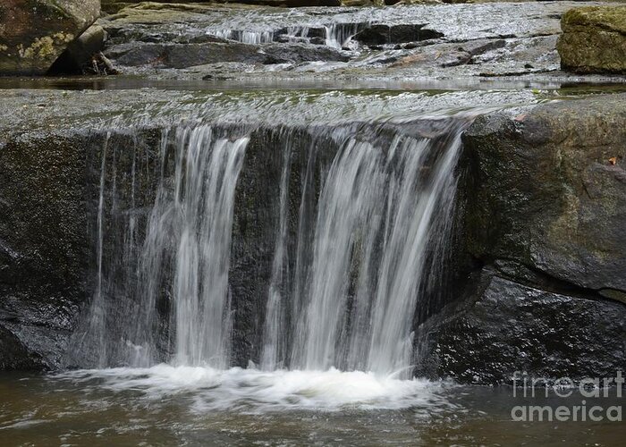 Shavers Fork Greeting Card featuring the photograph Red Run Waterfall by Randy Bodkins