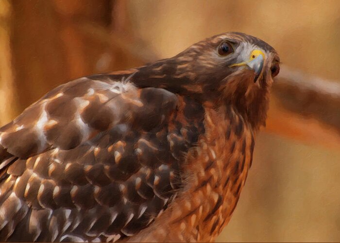 Red Shouldered Hawk Greeting Card featuring the digital art Red Shouldered Hawk 1 by Flees Photos