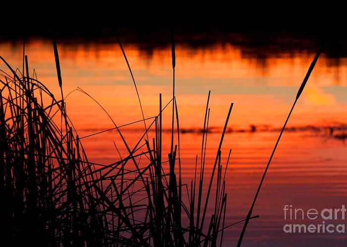 Sunsets Greeting Card featuring the photograph Red Skies by Jim Garrison