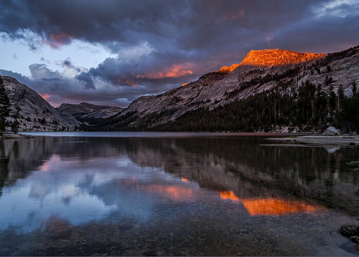 Water Reflection Lake Mountains Yosemite National Park Sierra Nevada Landscape Scenic Nature California Sunset Cloudy Evening Red Greeting Card featuring the photograph Red Sunset at Tenaya by Cat Connor