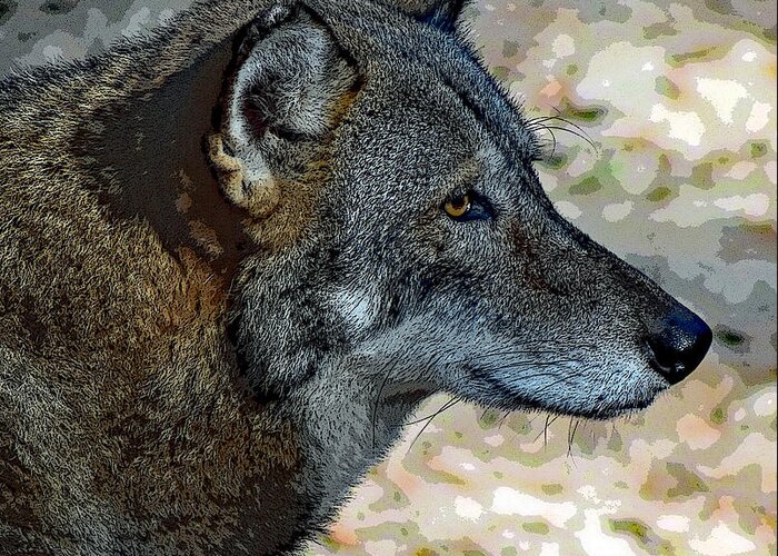Art Greeting Card featuring the photograph Red Wolf by DB Hayes