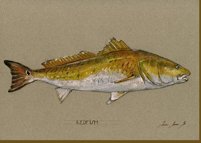 Bonefish Art Greeting Card featuring the painting Redfish painting by Juan Bosco
