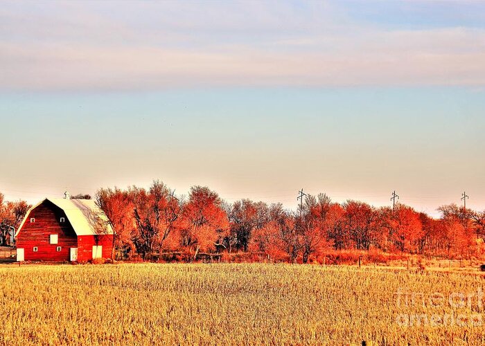 Barn Greeting Card featuring the photograph Reds and Oranges by Merle Grenz