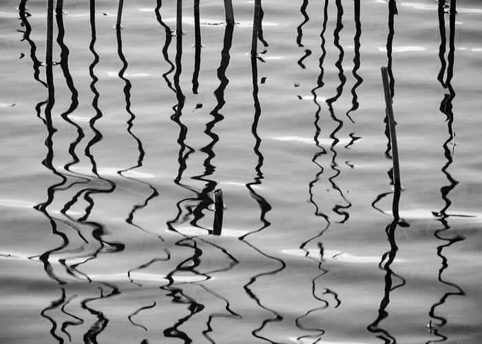 Reeds Greeting Card featuring the photograph Reeds and Reflections by David Gordon