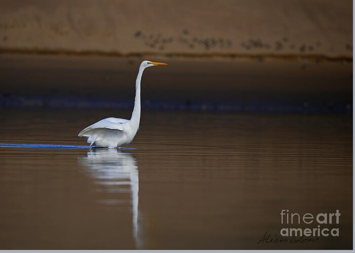 Egret Greeting Card featuring the photograph Reflecting Elegance by Alison Salome