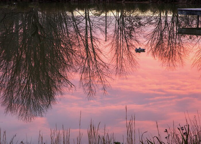 Sunset Greeting Card featuring the photograph Reflecting Pond by Jurgen Lorenzen