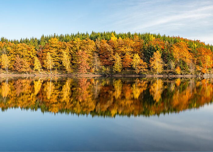 Reflection Greeting Card featuring the photograph Reflection of autumn by Andreas Levi