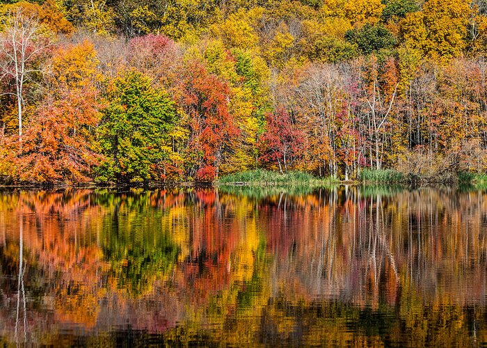 Fall Greeting Card featuring the photograph Reflections Of Autumn by Karol Livote