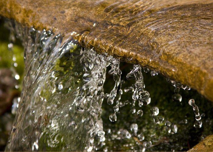 Water Stream Creek Drop Droplet Stone Run Nature Clear Cold Fall Greeting Card featuring the photograph Refreshment by Andrei Shliakhau