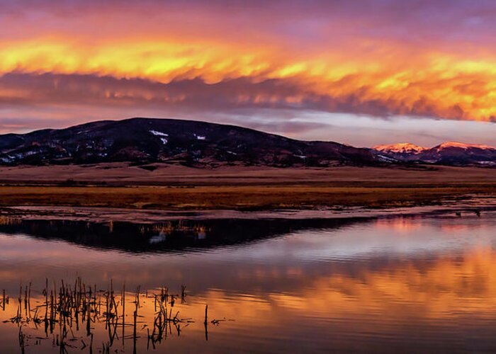 Monte Vista Greeting Card featuring the photograph Refuge Reflection by Chuck Rasco Photography