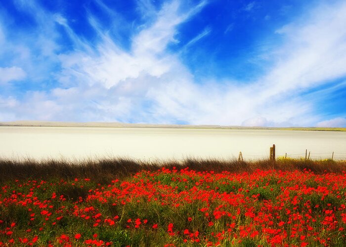 Poppies Greeting Card featuring the photograph Remember Summer by Philippe Sainte-Laudy