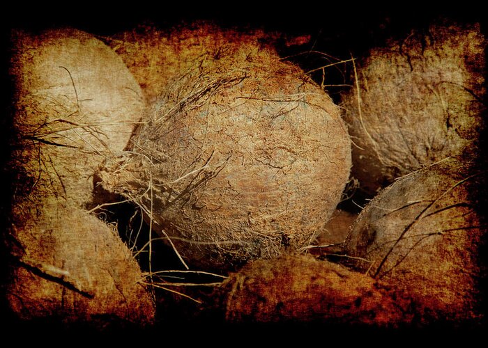 Renaissance Greeting Card featuring the photograph Renaissance Coconut by Jennifer Wright