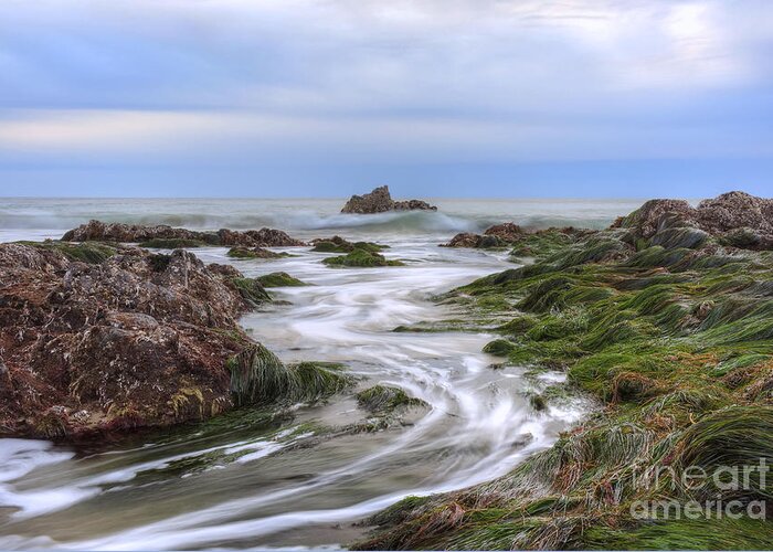 Replenish Greeting Card featuring the photograph Replenish The Tide Pools by Eddie Yerkish