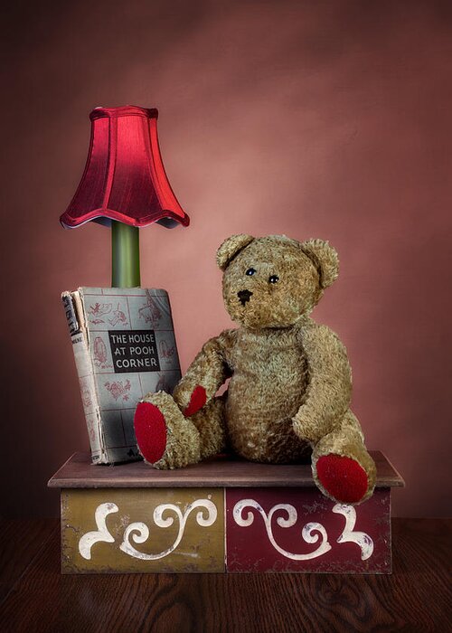 Pooh Greeting Card featuring the photograph Required Reading by Tom Mc Nemar