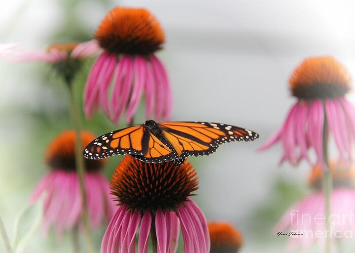 Monarch Greeting Card featuring the photograph Resting Monarch by Yumi Johnson