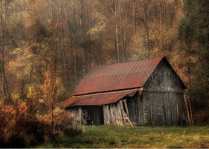 Barn Greeting Card featuring the photograph Resting Place by Mike Eingle