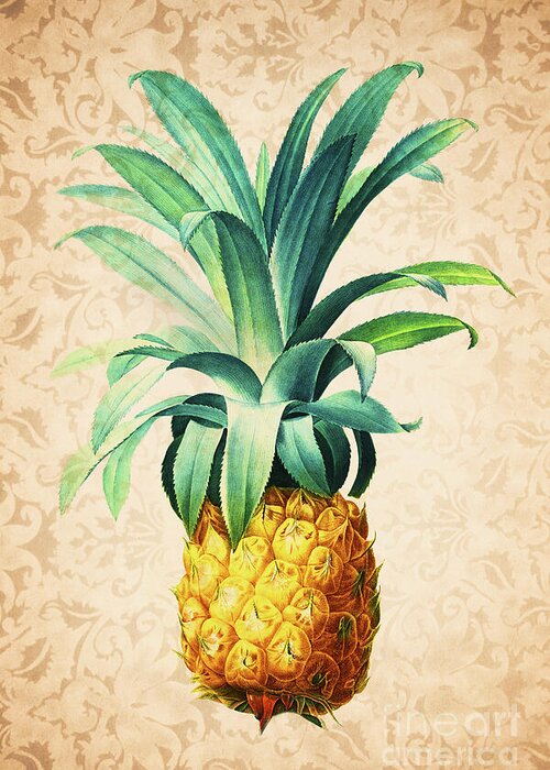 Pineapple Greeting Card featuring the drawing Retro Pineapple by Delphimages Photo Creations
