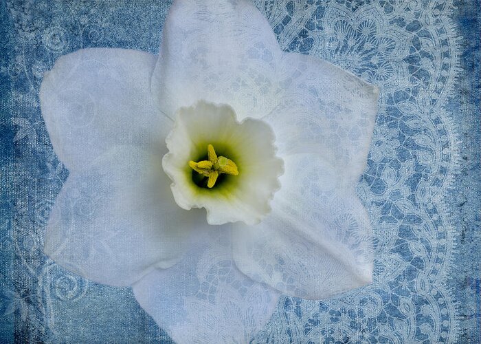 White Daffodil Flower Greeting Card featuring the photograph Sapphire Lace by Marina Kojukhova