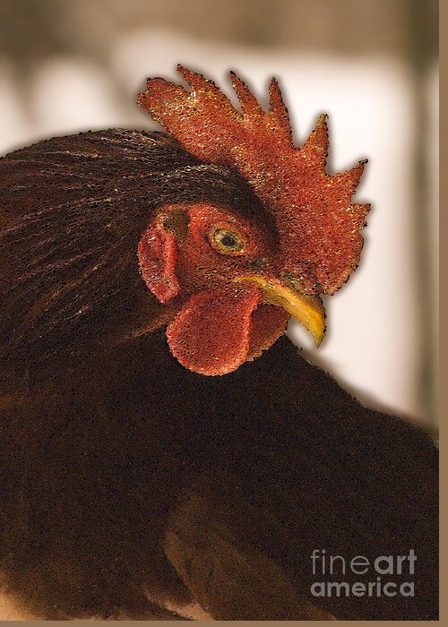Rhode Island Red Greeting Card featuring the photograph Rhode Island Red Rooster by George Robinson