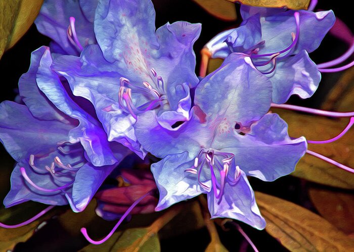 Flowing Greeting Card featuring the mixed media Rhododendron Glory 6 by Lynda Lehmann