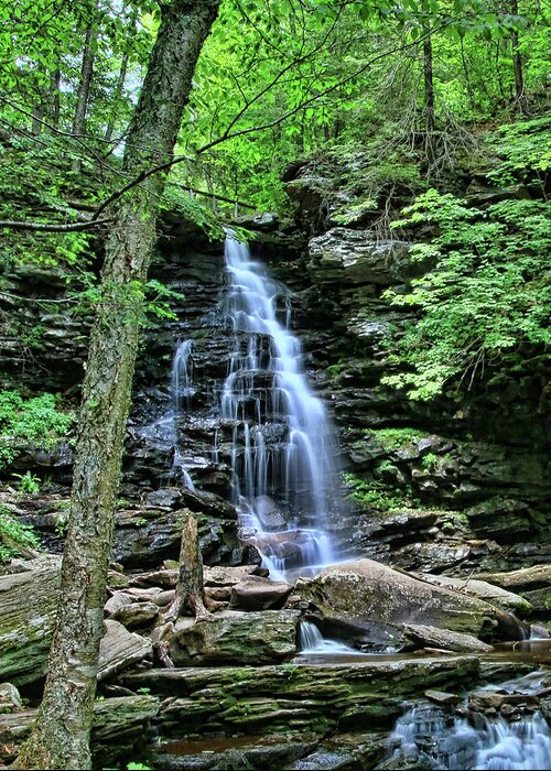 Waterfall Greeting Card featuring the photograph Ricketts Glen S P - Ozone Falls by Allen Beatty