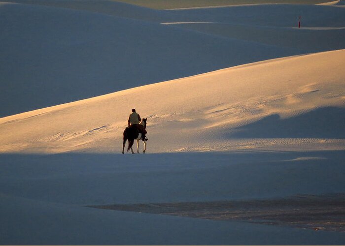 Rider On Paint Horse Greeting Card featuring the photograph Rider in the Sand #5 by Cindy McIntyre