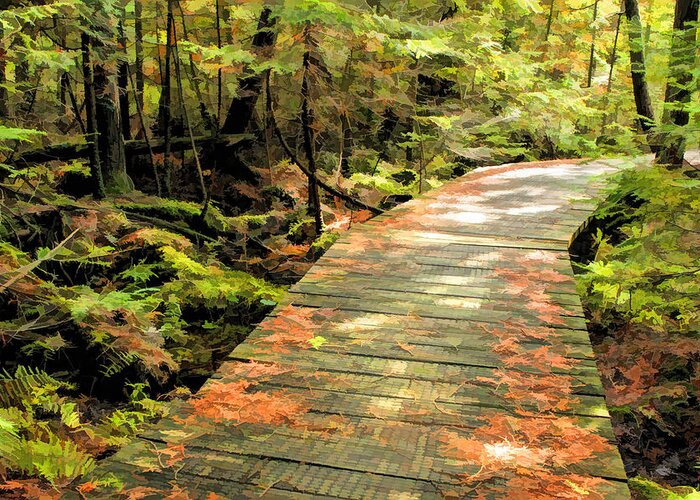 Door County Greeting Card featuring the painting Ridges Sanctuary Boardwalk by Christopher Arndt