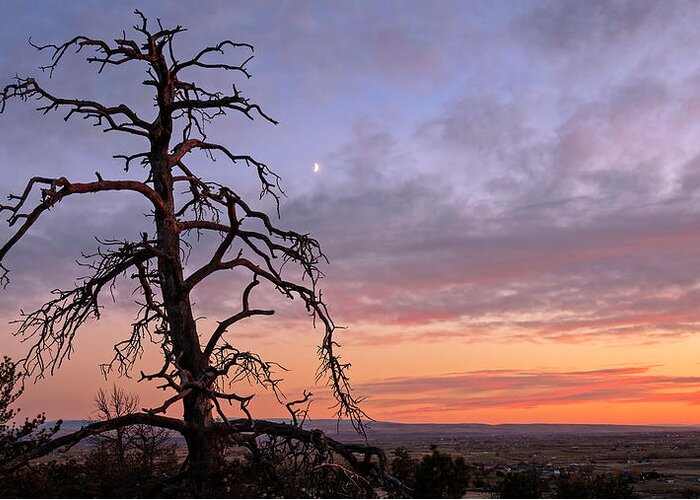 Billings Montana Greeting Card featuring the photograph Rimrock Sunrise by Jack Bell