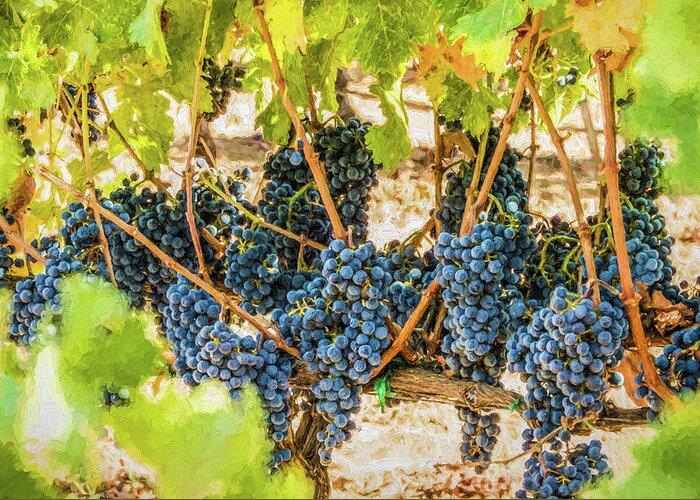 California Greeting Card featuring the photograph Ripe Grapes on Vine by David Letts