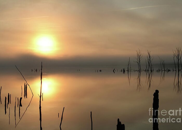 Sunrise Greeting Card featuring the photograph Mist and a Rise by Roger Becker