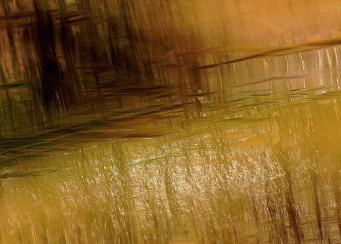 River Greeting Card featuring the photograph River And Reeds by Deborah Hughes
