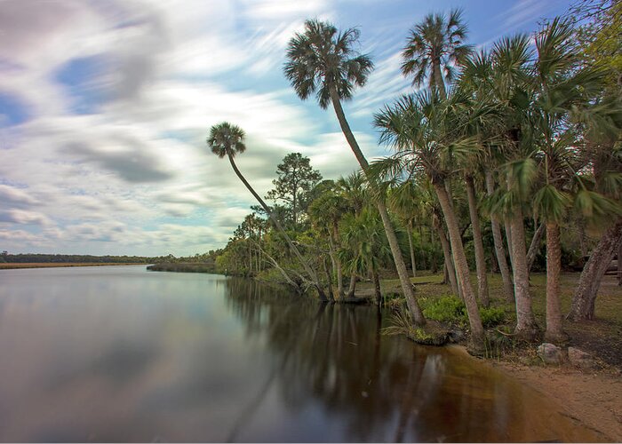 Florida Greeting Card featuring the photograph River of Dreams by Robert Och