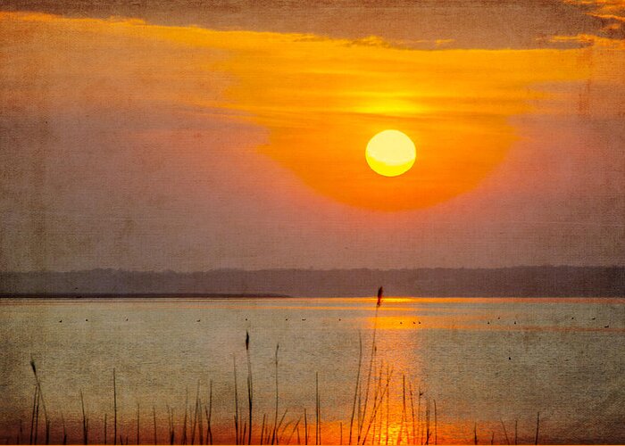 Sunset Greeting Card featuring the photograph River of Light by Cathy Kovarik