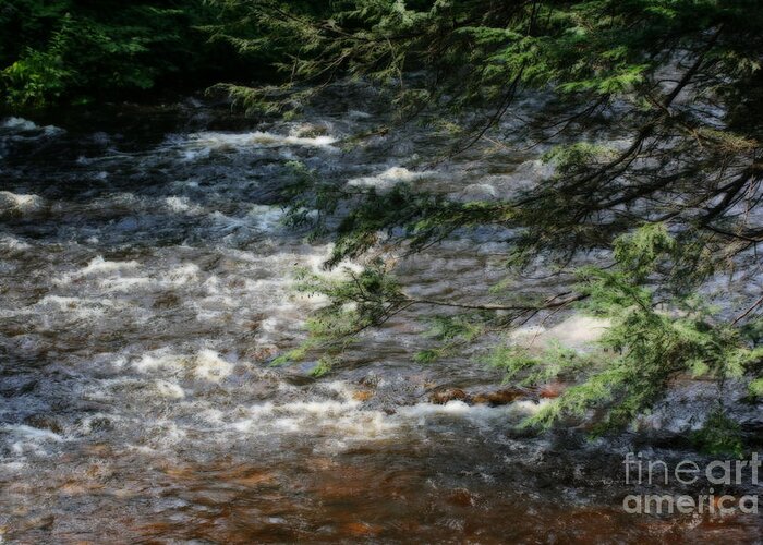 River Greeting Card featuring the photograph River Rapids Through Pine by Smilin Eyes Treasures